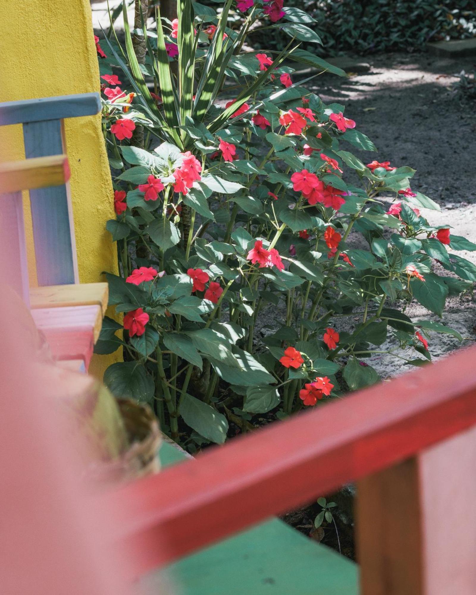 Hotel Butterfly House Bahia Marau  Exterior foto
